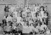 1910 infants
