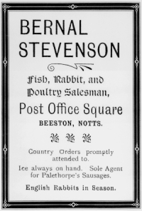 Bernal Stevenson advert