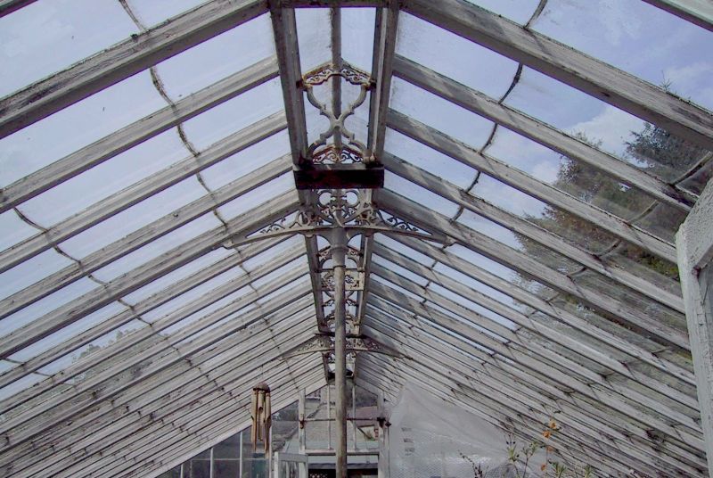 Greenhouse Interior