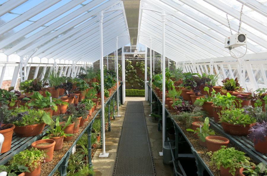 Greenhouse Interior